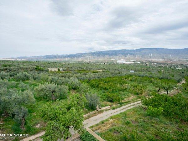 Cortijo en Paraje Campillo, s/n, Abrucena