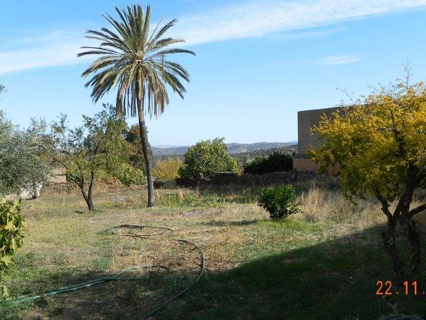 Nave en calle Santa Ana, 45, Cabeza la Vaca