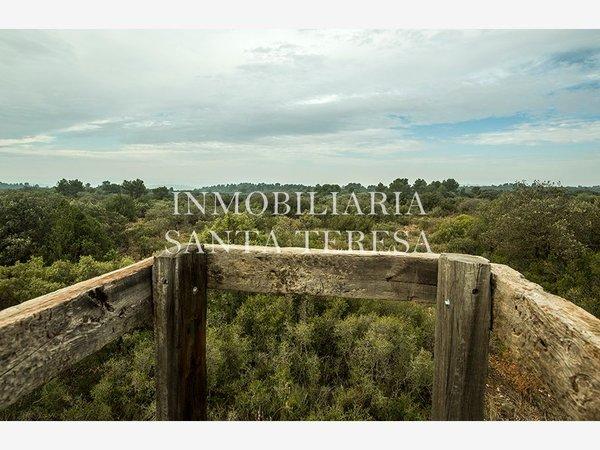 Finca rústica en Alarcon