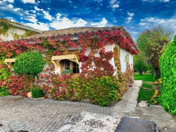 Casa o chalet independiente en calle la Oliva, Alcocer